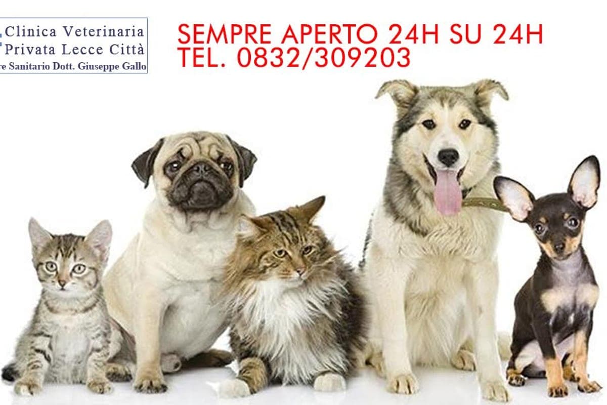 Centro Veterinario Salento