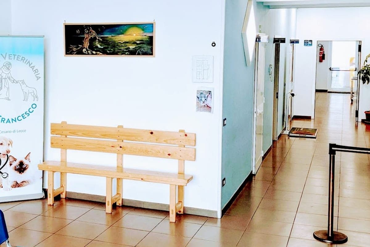 Clinica Veterinaria San Francesco (24h)
