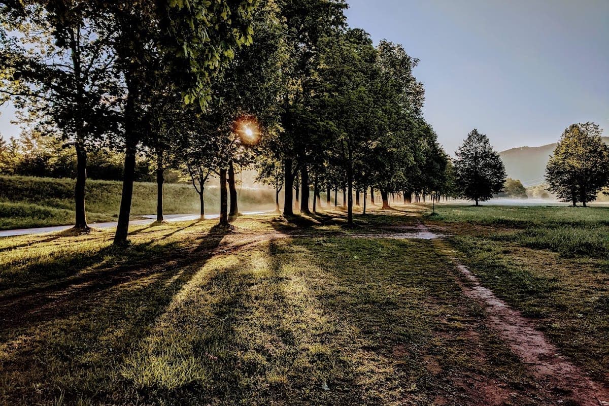 Hundebadestelle Urfahr/Donau