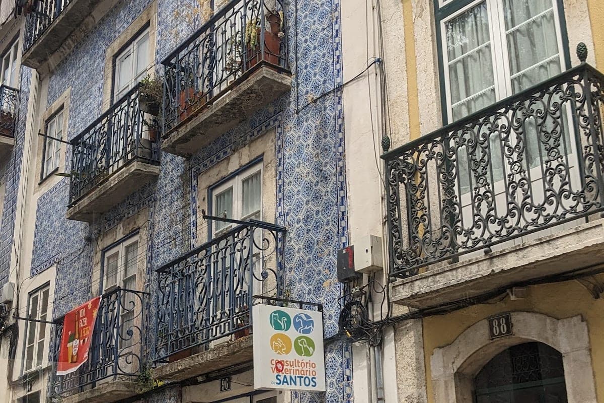 Clínica Veterinária de Santos