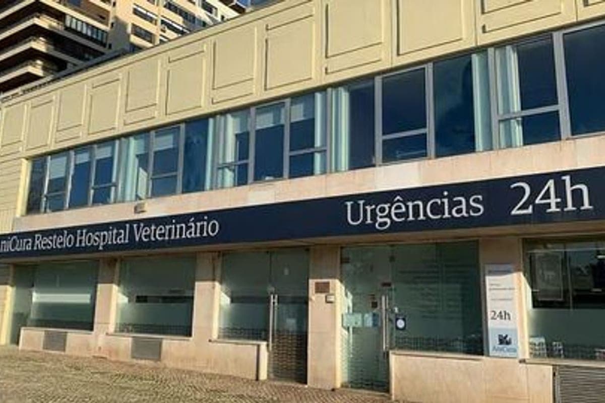 Hospital Veterinário do Restelo