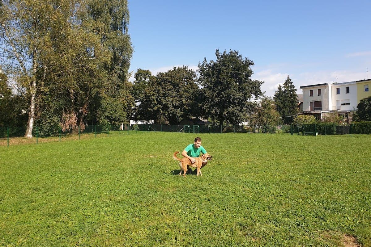 Koseze Pond (Koseze Pond Park & Dog Park)