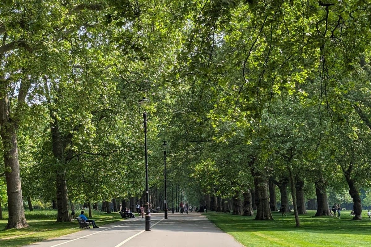 Hyde Park — The Dog Bowl