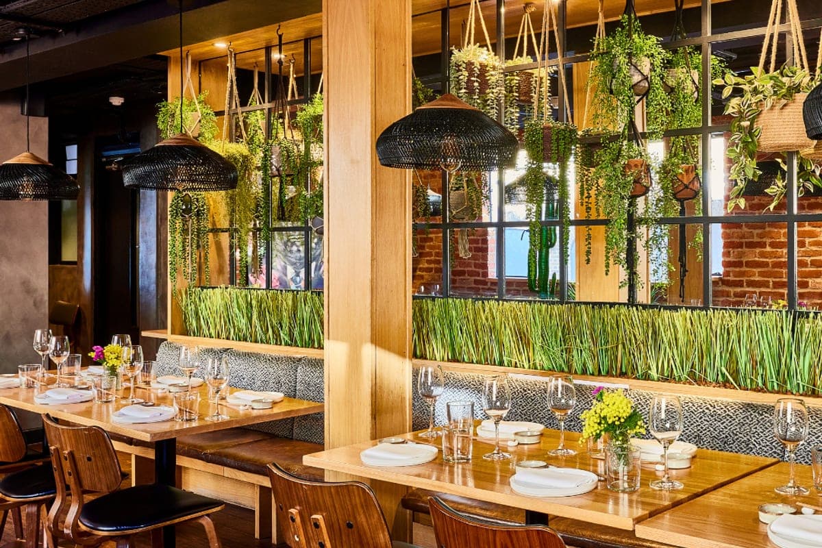 Los Mochis Notting Hill