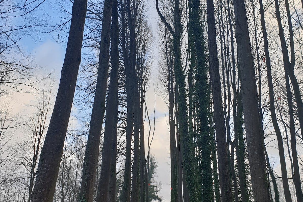 Parco Fluviale del Serchio