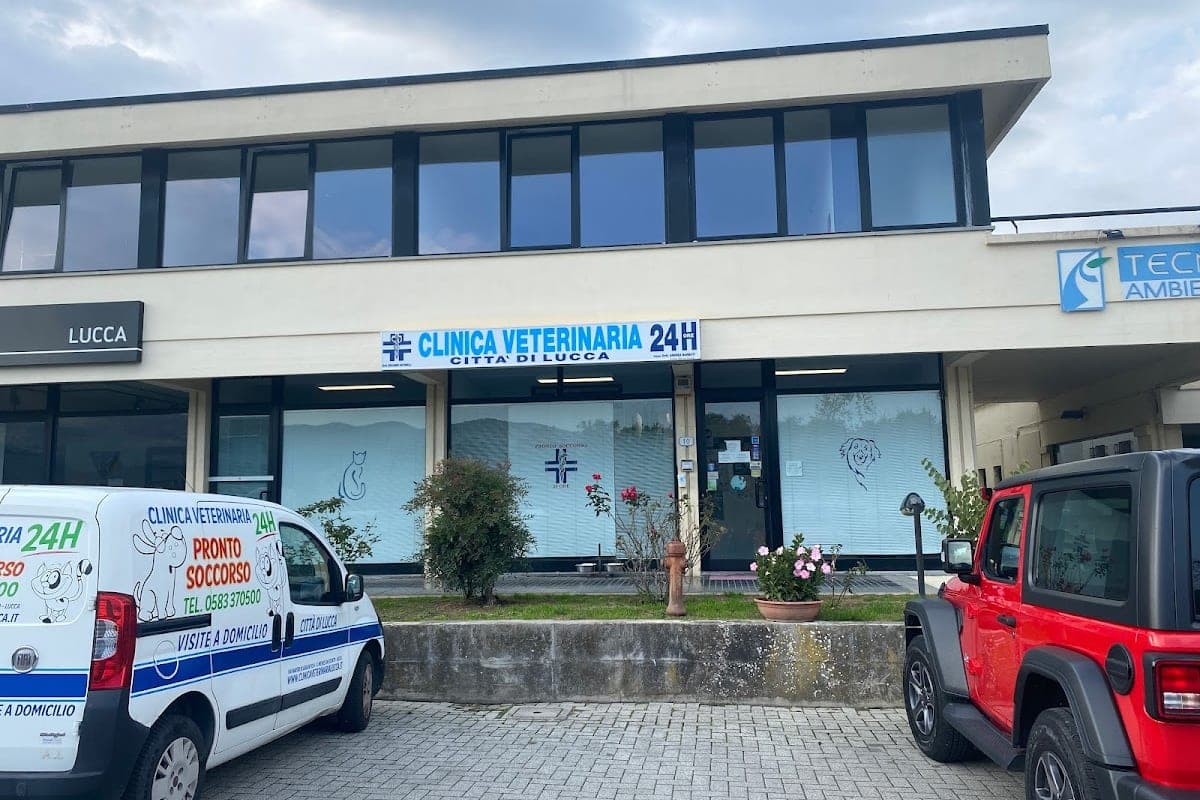Clinica Veterinaria Lucca Centro