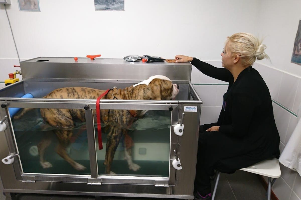 Dierenkliniek Heerlen (24h)