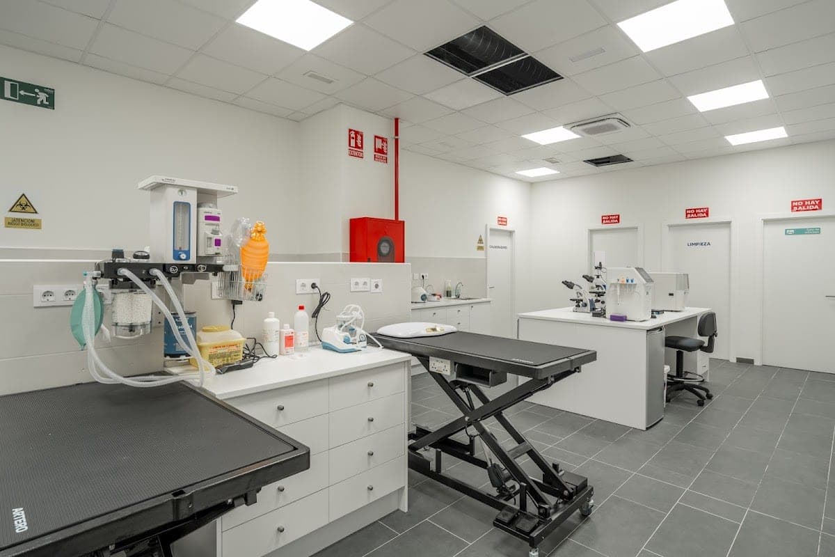 Clínica Veterinaria Madrid Centro