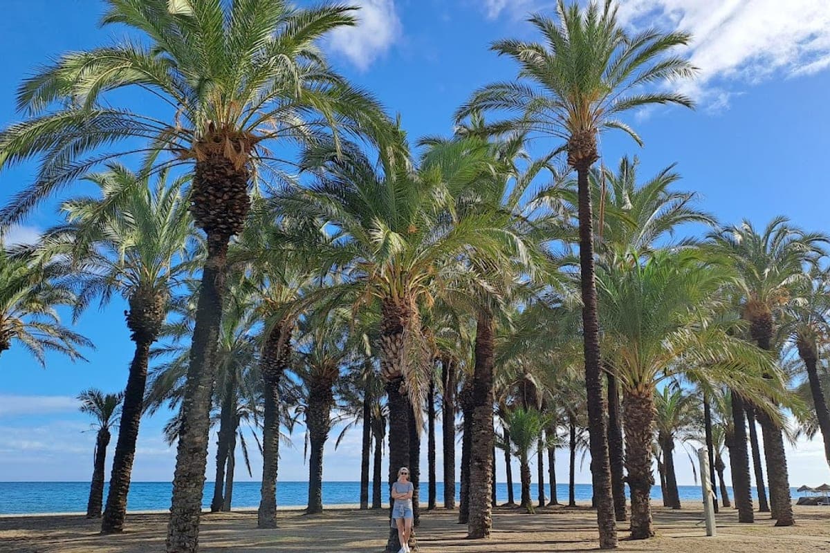 Playa de los Álamos