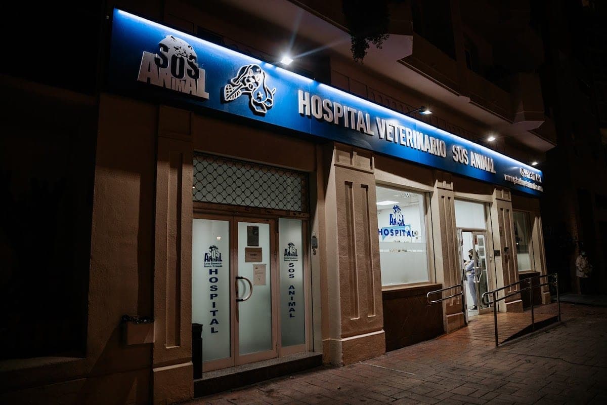 Hospital Veterinario Málaga