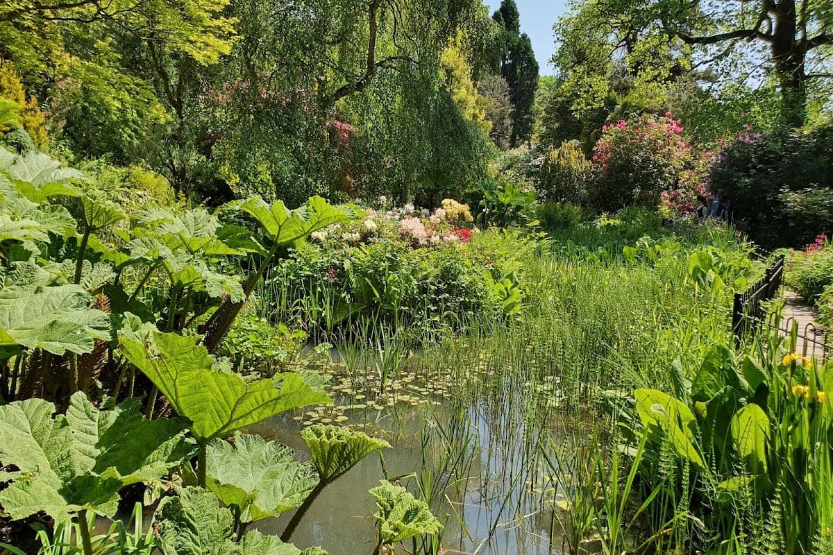 Fletcher Moss Botanical Gardens