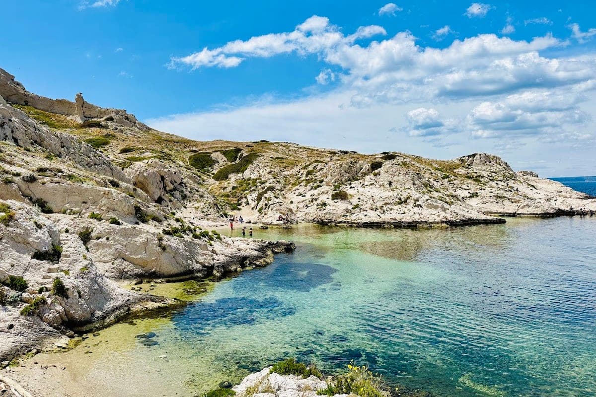 Îles du Frioul — Multiple Dog-Friendly Beaches