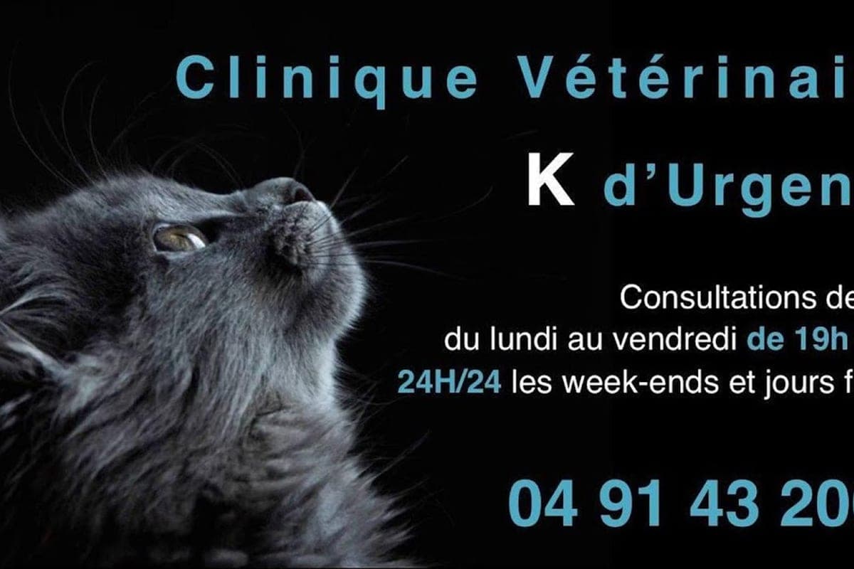 Clinique K d'Urgence