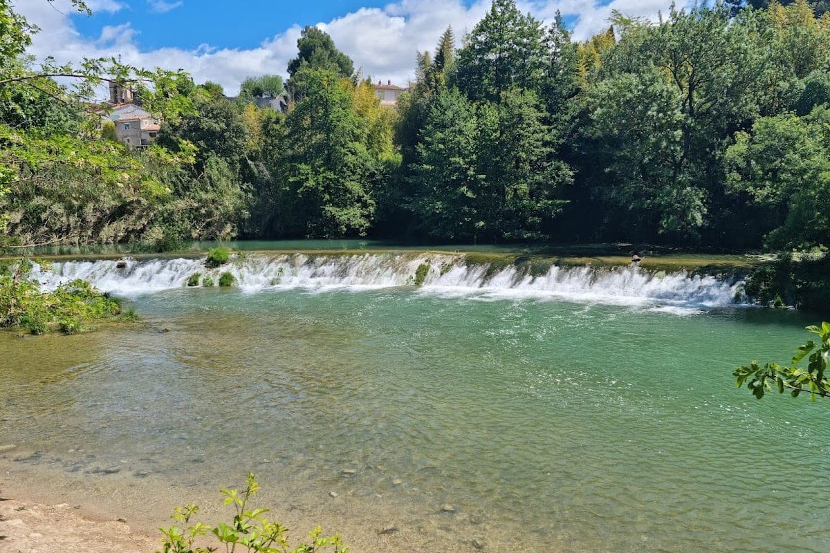 Parc Méric — Grand Caniparc