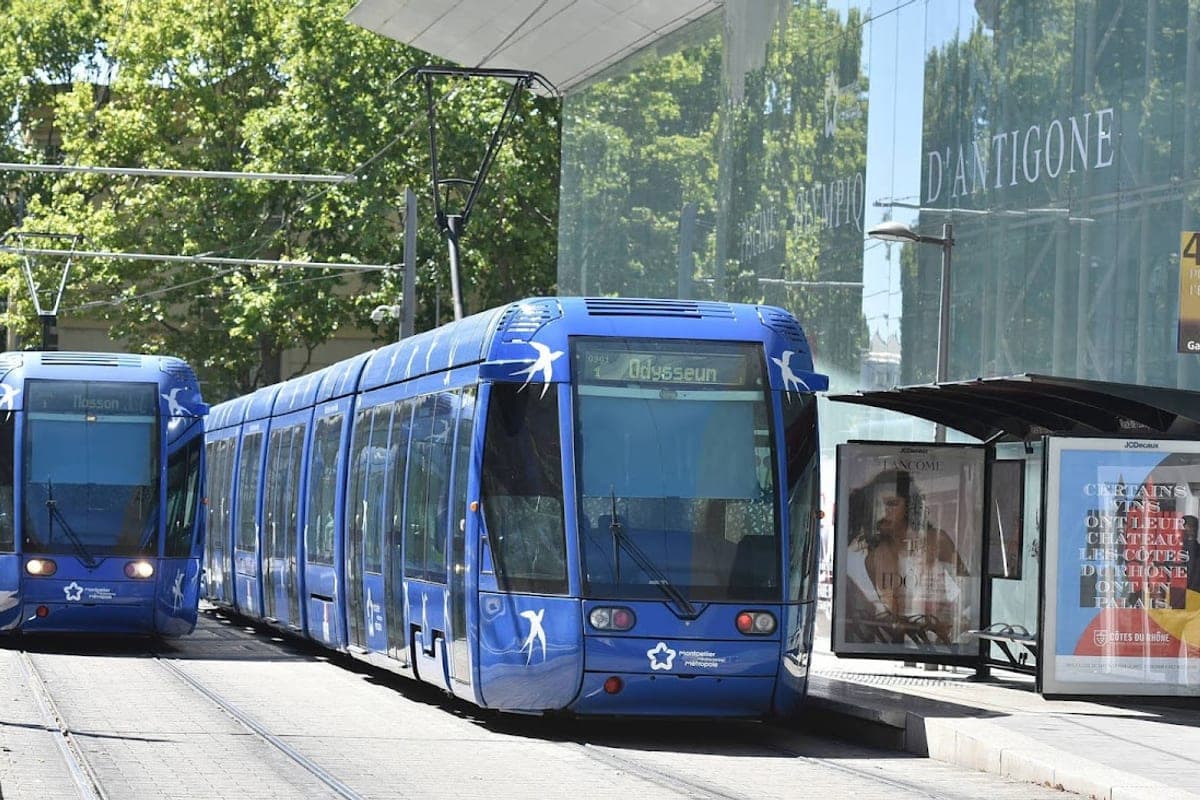 TAM Tram Network (Lines 1–4)