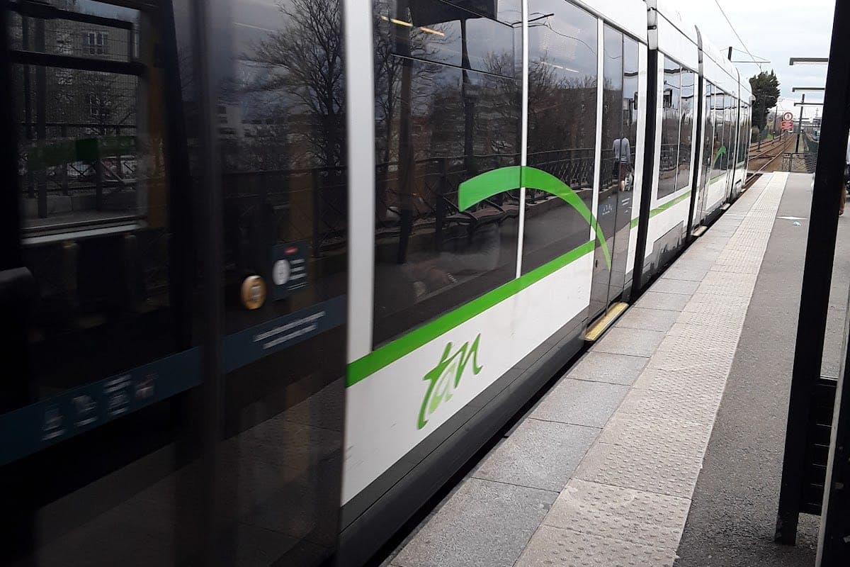 TAN / Naolib Network