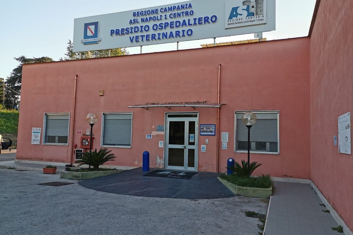ASL Napoli 1 Centro — Servizio Veterinario