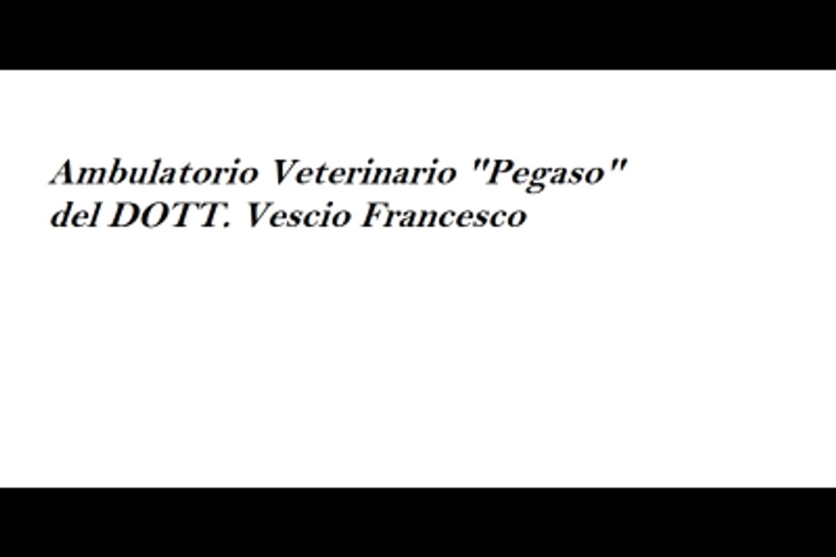 Clinica Veterinaria Pegaso