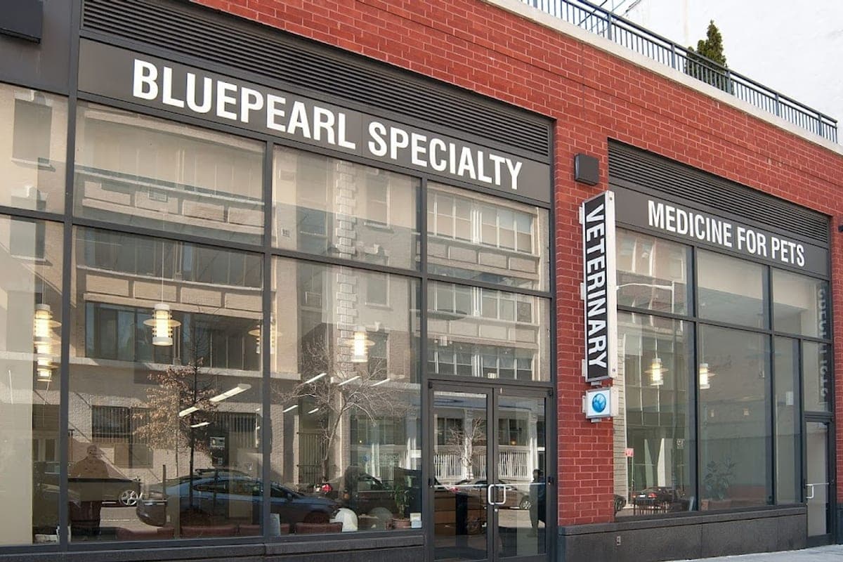BluePearl Pet Hospital — Manhattan (Midtown West)