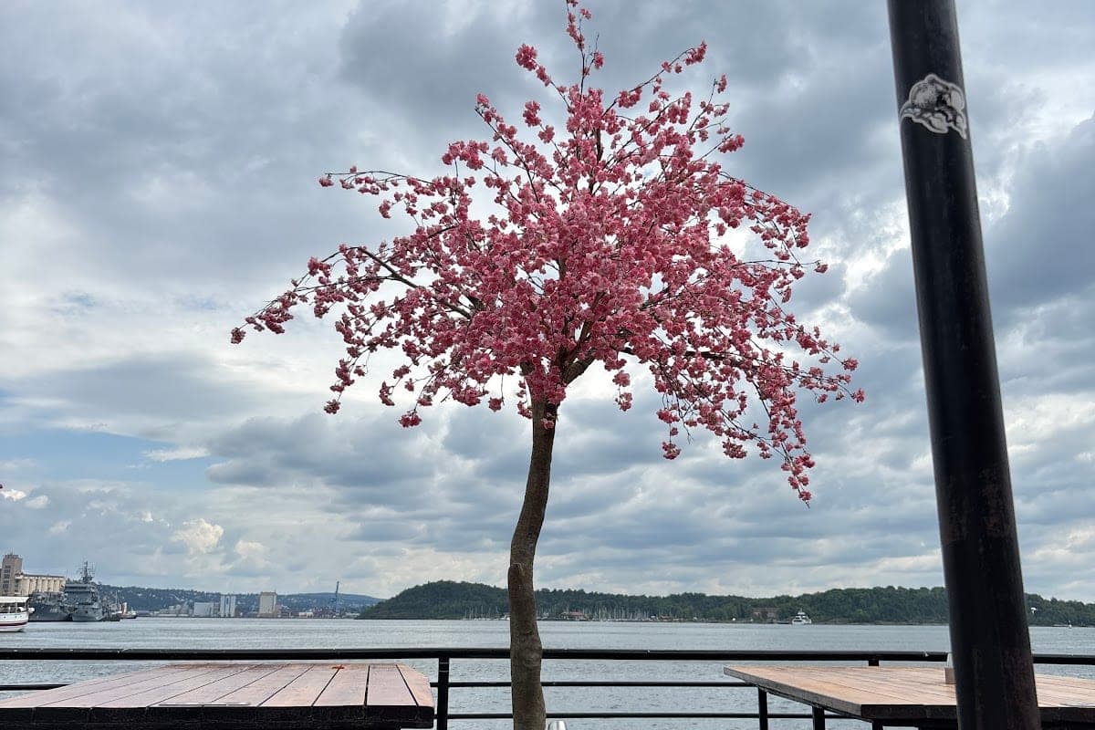 Aker Brygge Terrace Bars