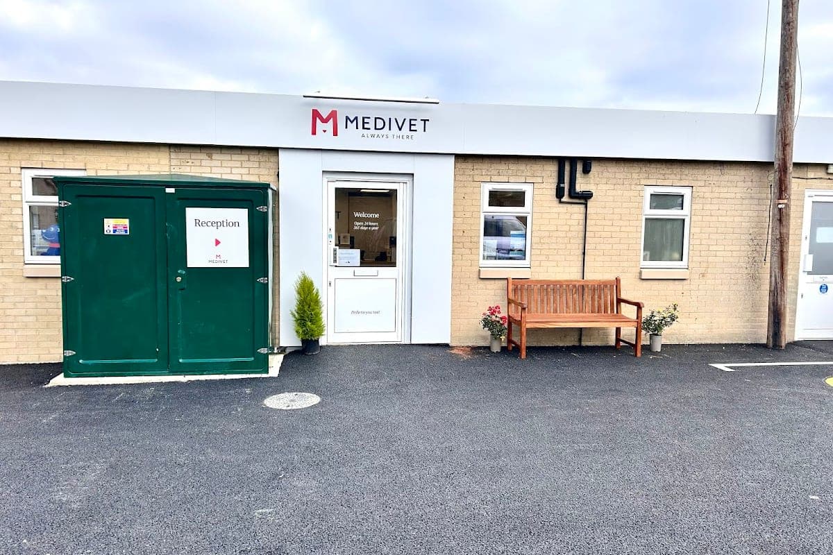 Medivet 24 Hour Woodstock