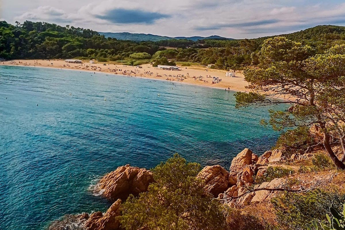 Platja del Castell (dog-beach zone)
