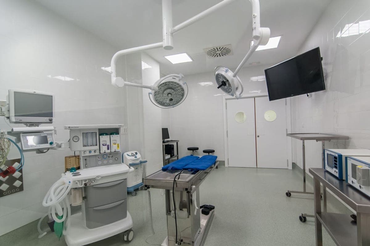 Hospital Veterinario UCV Pamplona (24h)