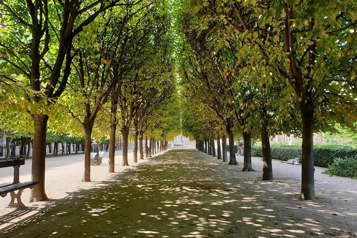 Palais Royal Gardens