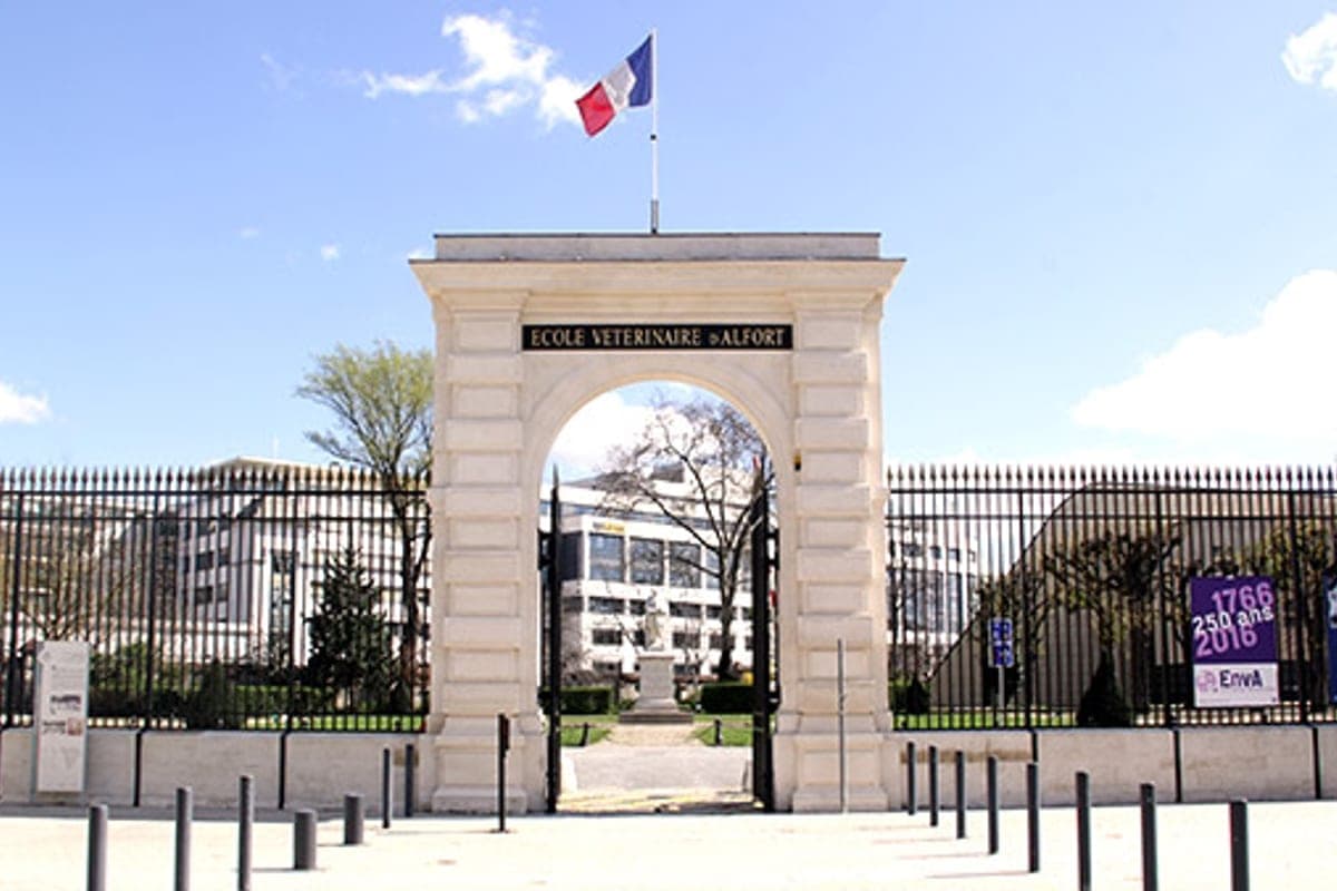 École Nationale Vétérinaire d'Alfort — CHUVA