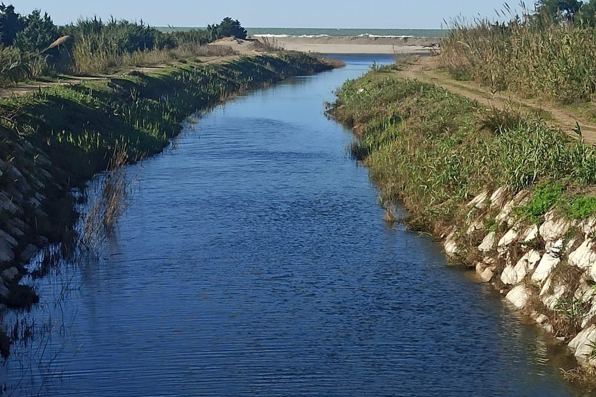 Bocca di Serchio (Migliarino park)