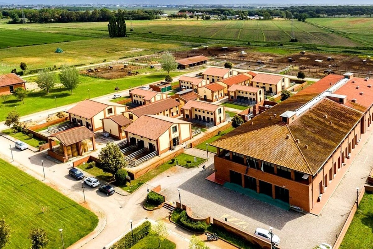 Ospedale Didattico Veterinario UNIPI (24h)