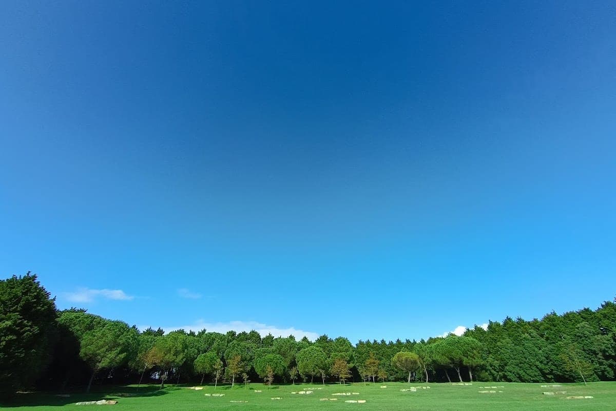 Parque da Cidade do Porto