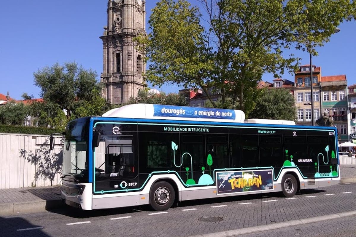 Metro do Porto & STCP Buses