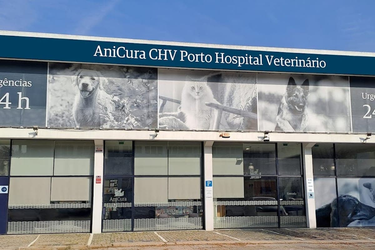 AniCura CHV Porto Hospital Veterinário