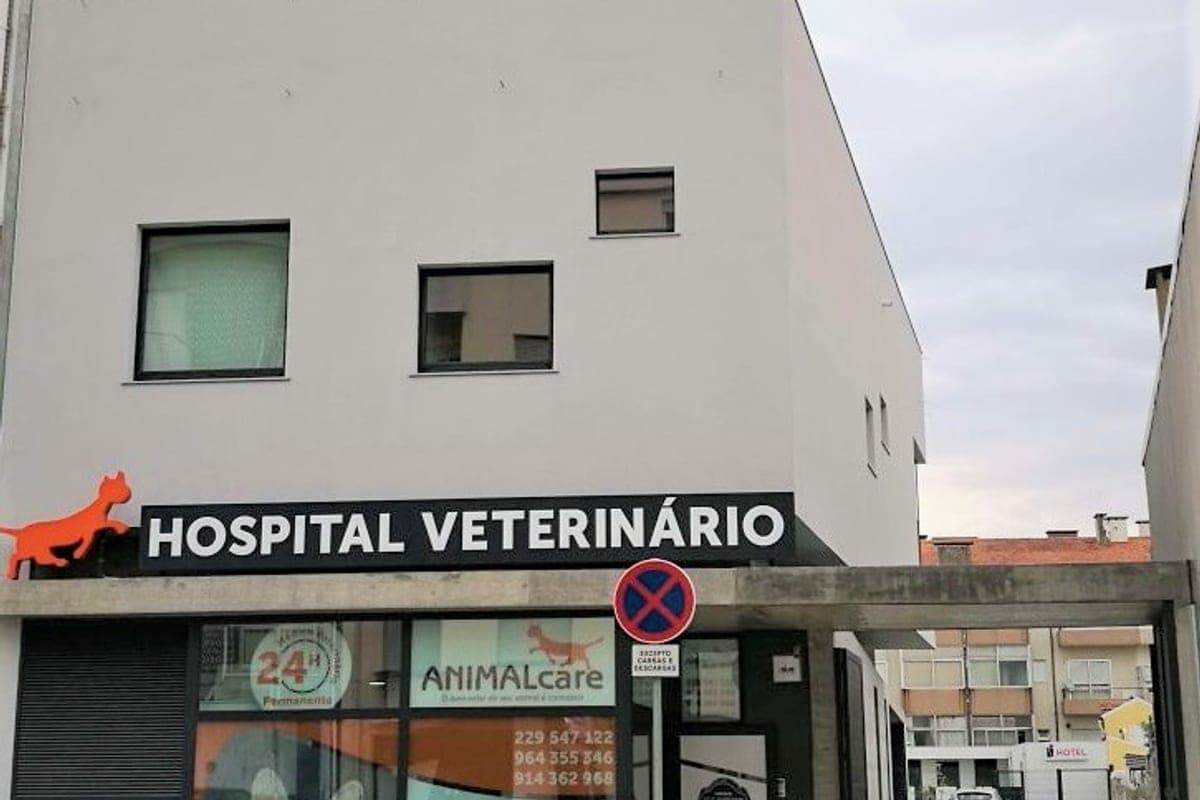 ANIMALcare Hospital Veterinário