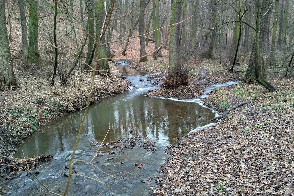 Nusle Valley & Botič Creek Trail