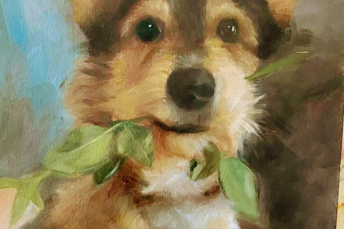 Rover.com / Pawshake Prague