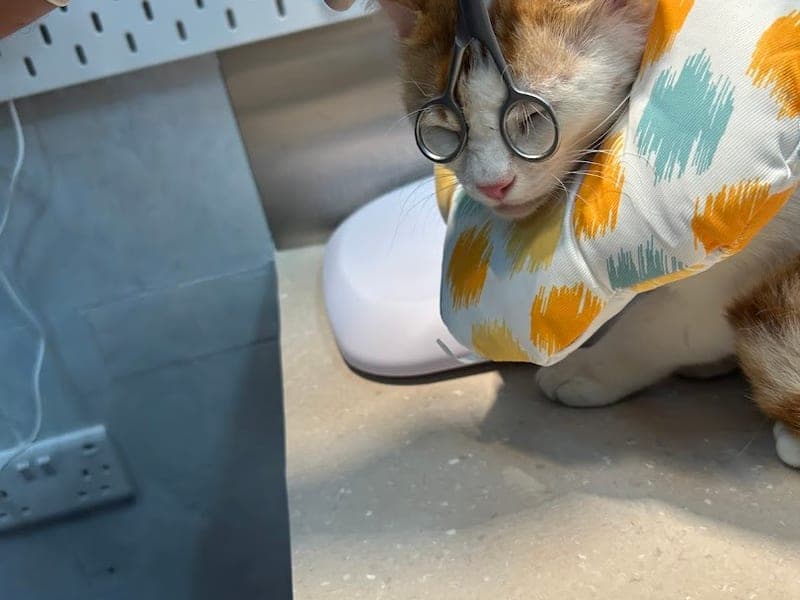 Pets Oasis Veterinary Clinic