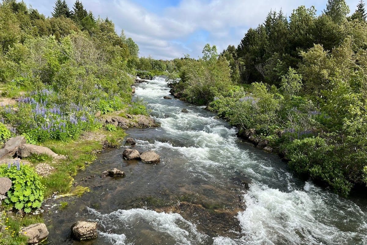 Elliðaárdalur River Valley