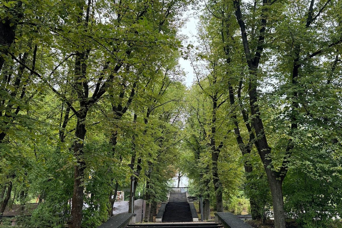 Grīziņkalns Park Dog Area