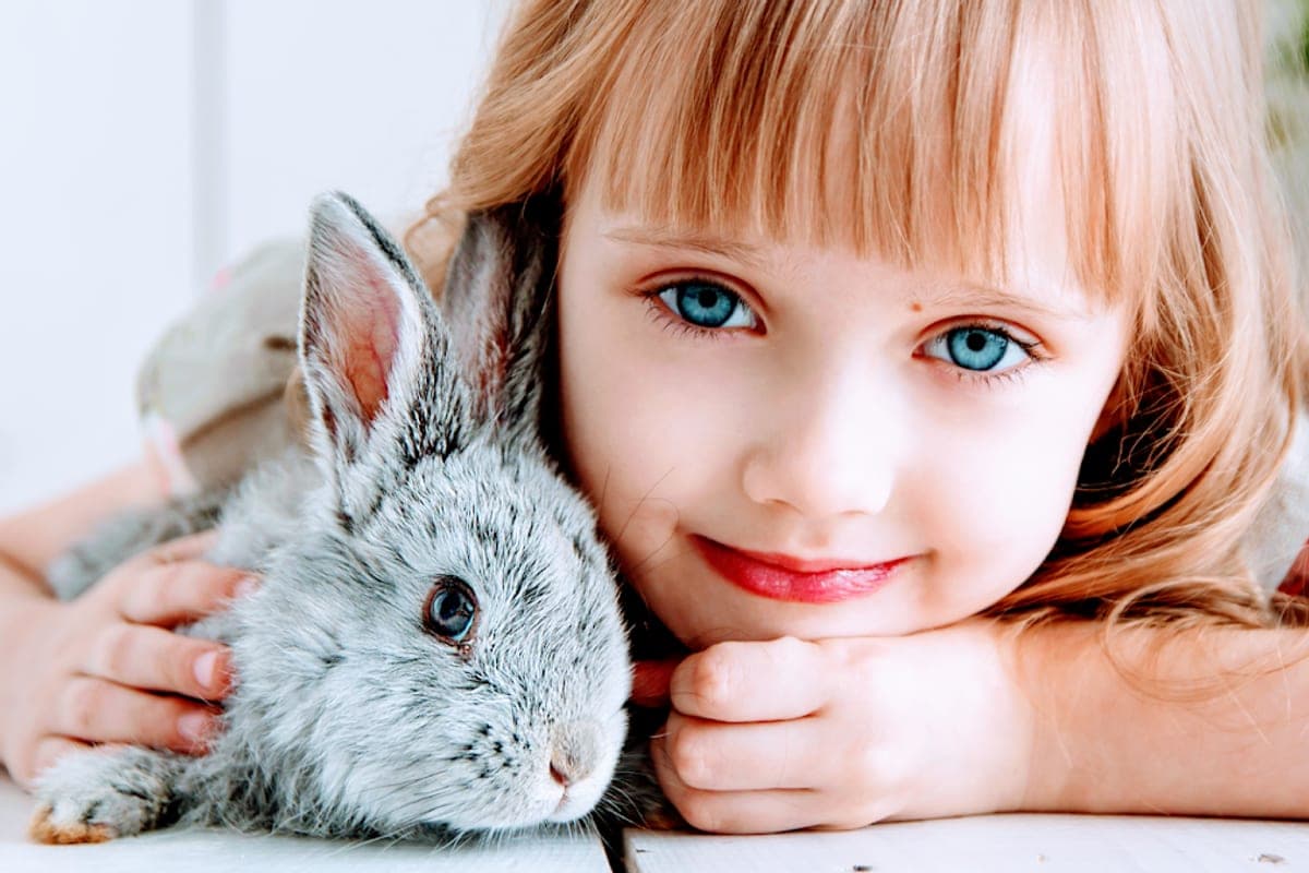 Poliambulatorio Veterinario Roma