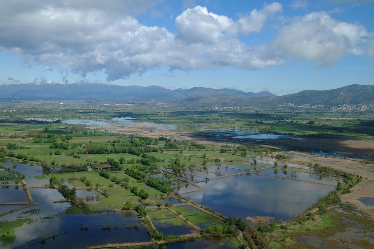 Aiguamolls de l`Empordà Natural Park (south)