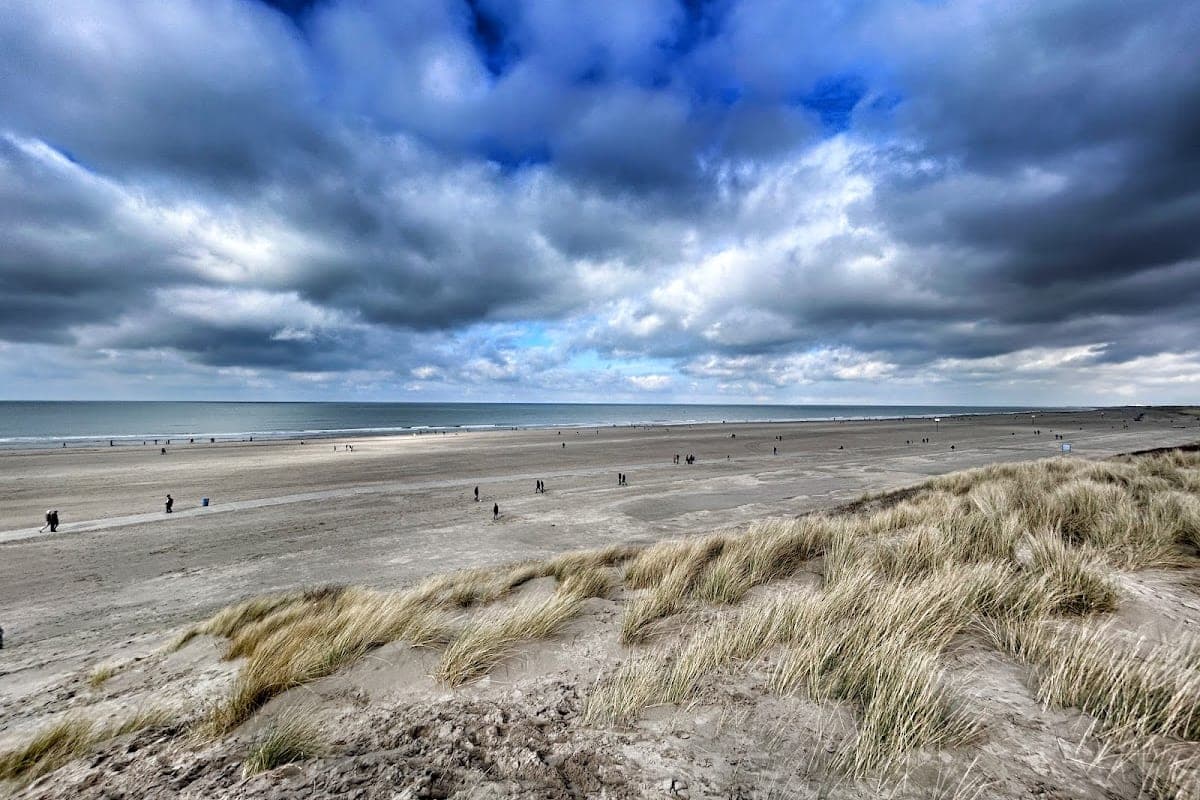 Hoek van Holland Beach — Estuary Section
