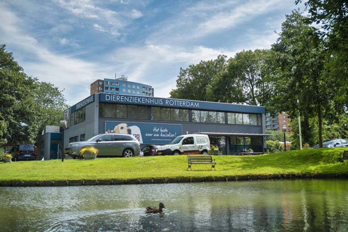 Dierenziekenhuis Rotterdam