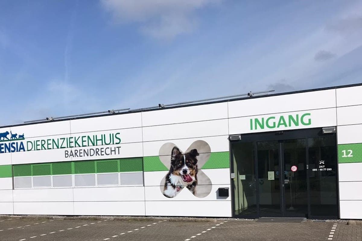 Evidensia Dierenziekenhuis Barendrecht (24h)