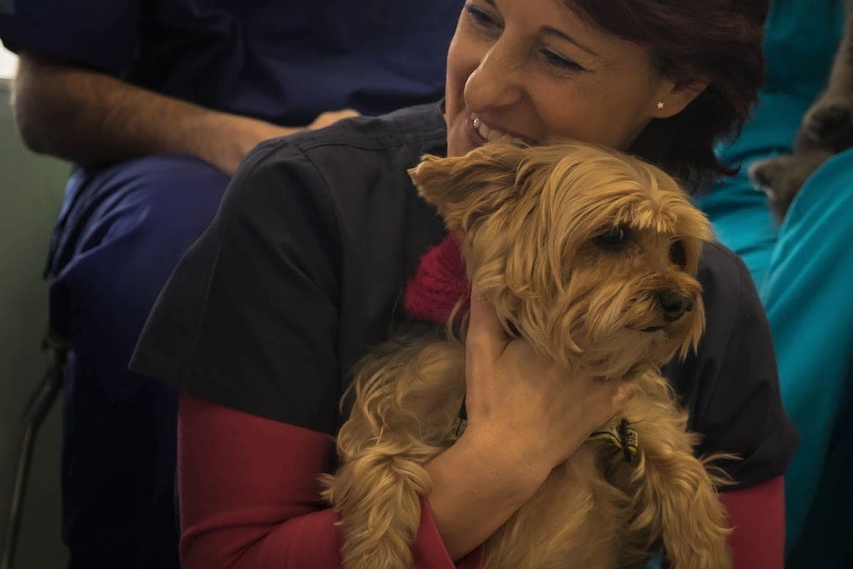 Hospital Veterinario Salamanca (24h)