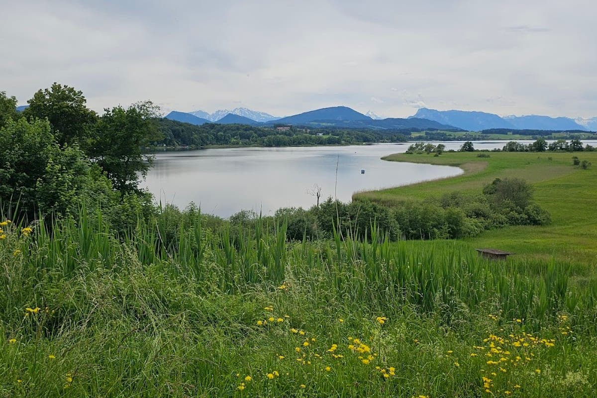 Wallersee (Seekirchen am Wallersee)