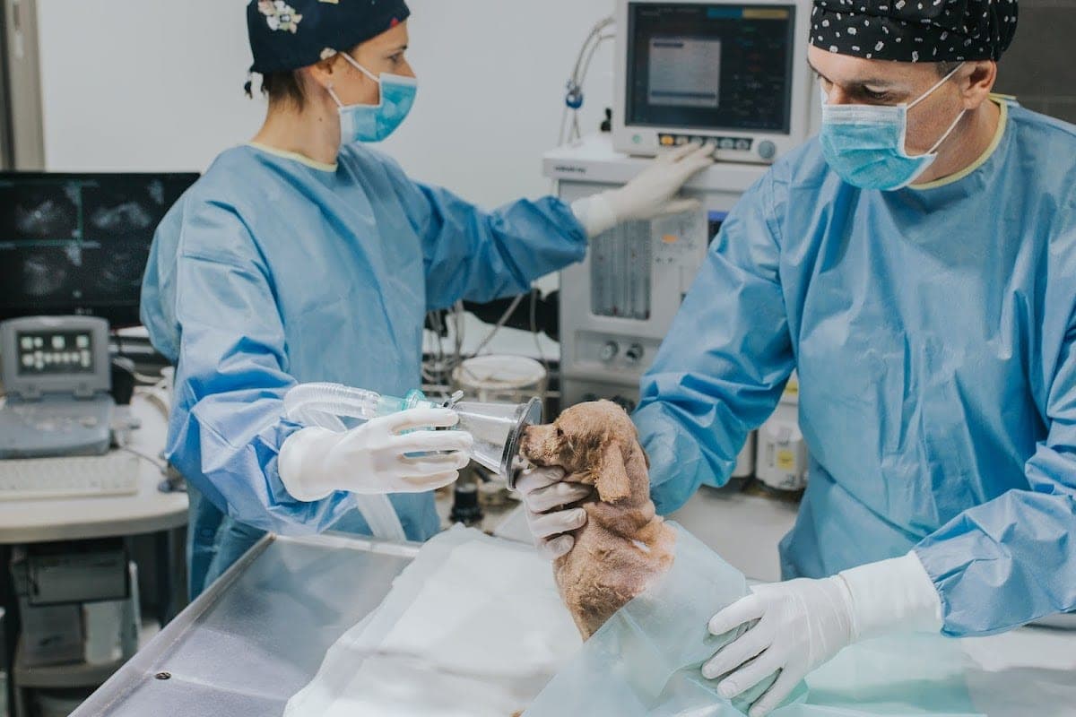 Clínica Veterinaria El Jardín