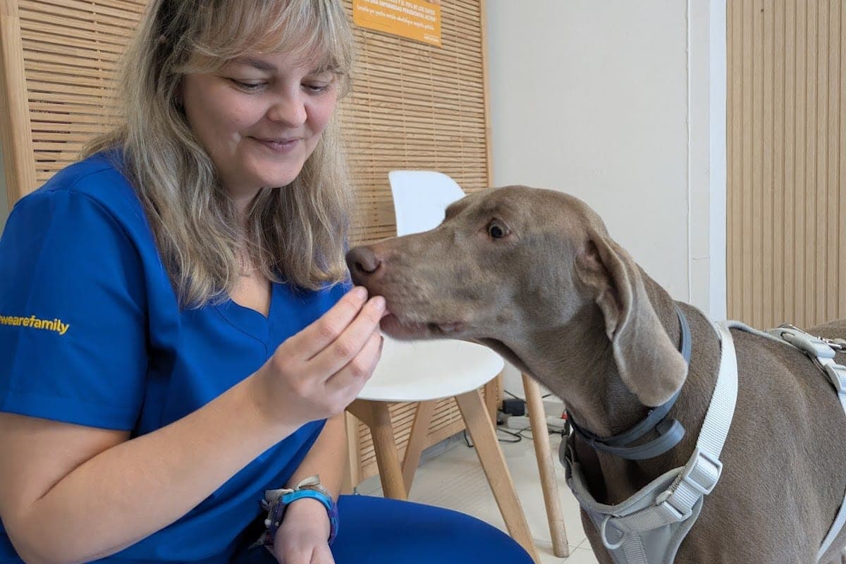 Clínica Veterinaria 24h Sevilla