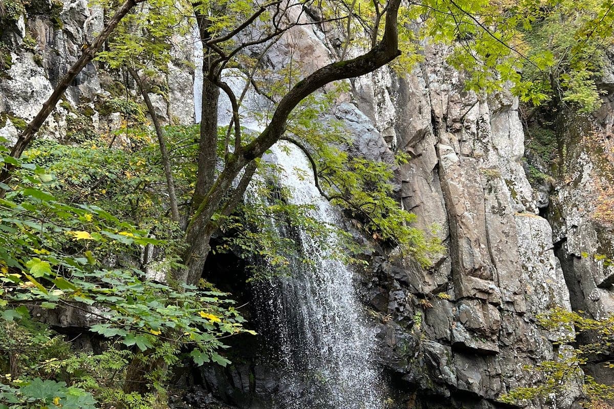 Boyana Waterfall